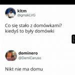 Dom&oacute;wki