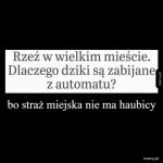 Rzeź w wielkim mieście