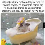 Niestety