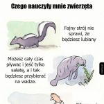 Czego nauczyły mnie zwierzęta