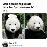 Kiedy ktoś zdejmie okulary