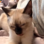 Sp&oacute;jrz mi w oczy