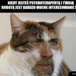 Kocia morda