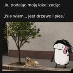 Moja lokalizacja