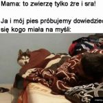 Zagrożenie