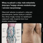 Krążenie