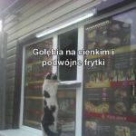 Witam