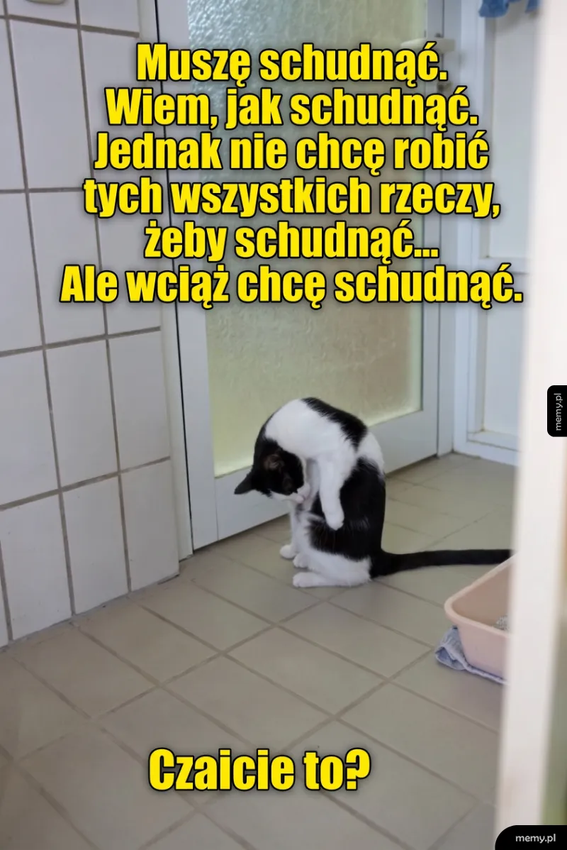 Kot czarno-biały siedzący na podłodze w łazience z napisami u góry i na dole.