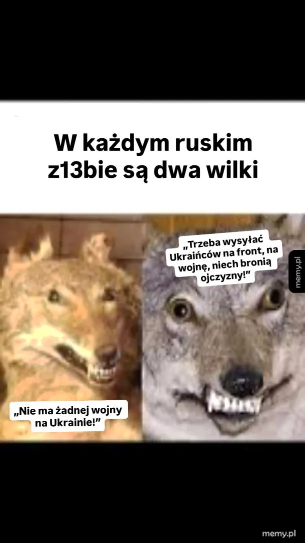 Mendir z dwoma karykaturalnymi wilkami i podpisami