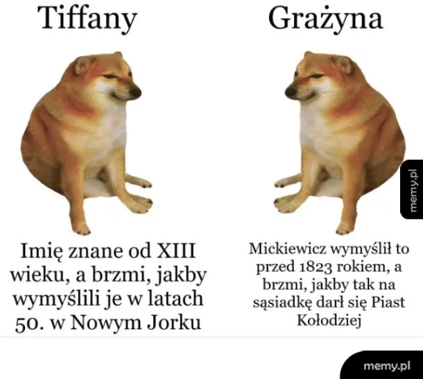Mem porównujący imiona Tiffany i Grażyna za pomocą tego samego zdjęcia psa rasy Shiba Inu.