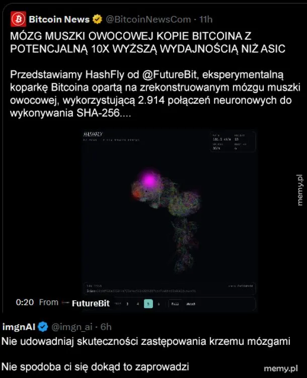 Zrzut ekranu tweeta o koparce Bitcoina z mózgu muszki owocowej.