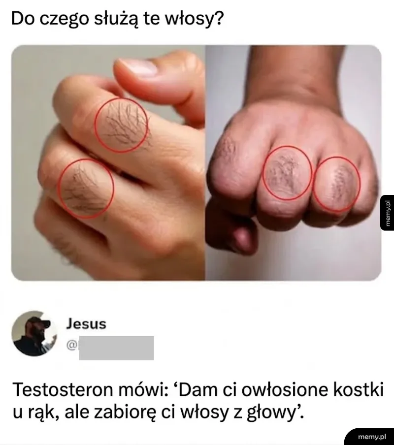 Zdjęcia owłosionych kostek palców u rąk z podpisem o testosteronie.