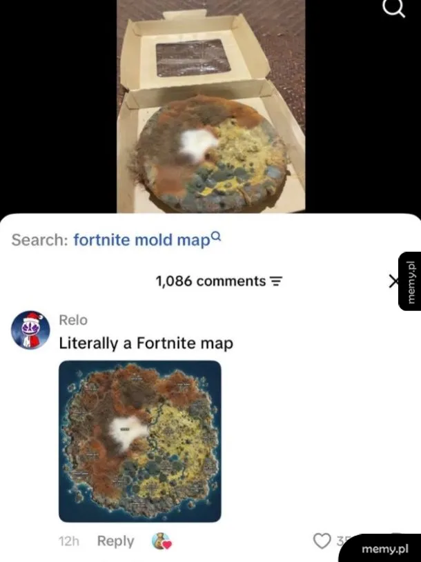 Mocno spleśniała pizza w pudełku porównana do mapy z gry Fortnite.