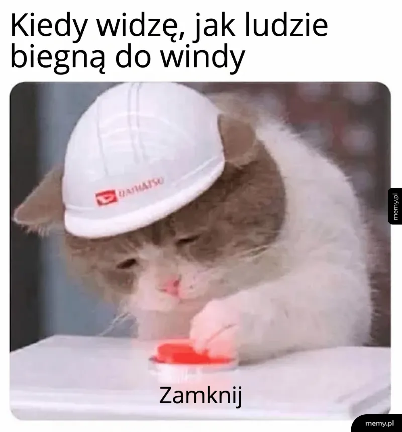 Przepraszam, awaria drzwi! 🛑😹