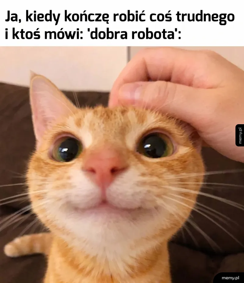 Ja po wysłaniu jednego, trochę trudniejszego maila 😌✨