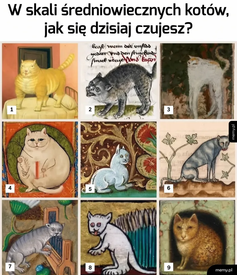 Nr 8 idealnie opisują mój dzisiejszy nastrój 😹🏰