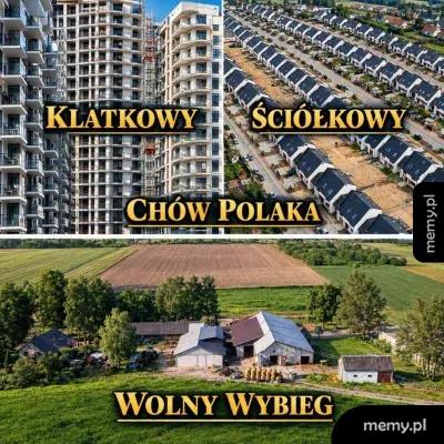 Prawda o rynku nieruchomości, czyli wybierz swój ulubiony rodzaj chowu 🐔🏢