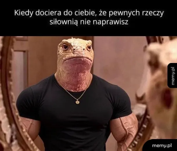 Uśmiechnięta jaszczurka o muskularnej budowie ciała w czarnej koszulce patrzy w lustro.