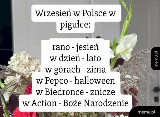 Multiwersum polskiego września 🍂🎃🎅