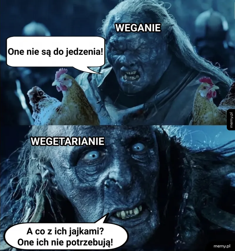 Mem z orkami z Władcy Pierścieni dyskutującymi o diecie wegańskiej i wegetariańskiej z kurczakami.