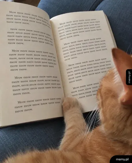 Rudy kot czyta książkę wypełnioną napisem meow