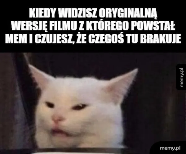 Biały kot siedzący przy stole i patrzący z oburzeniem.
