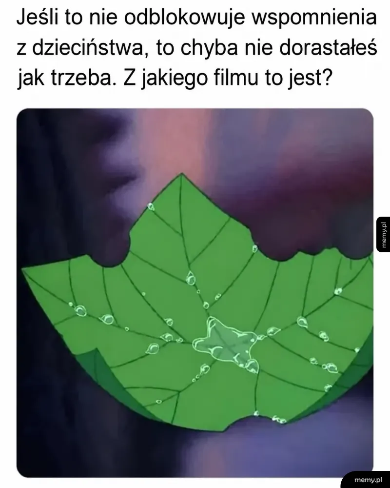 Zielony liść z kroplami wody z kultowej bajki