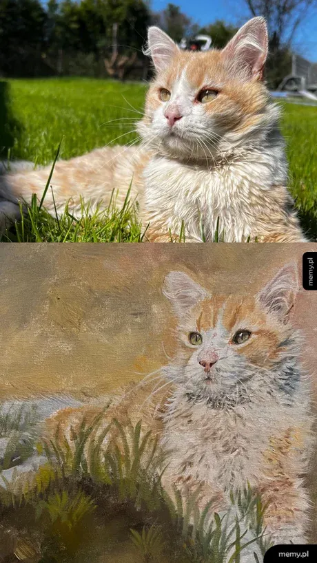 Zdjęcie rudego kota leżącego w trawie i jego wierny portret namalowany farbami.