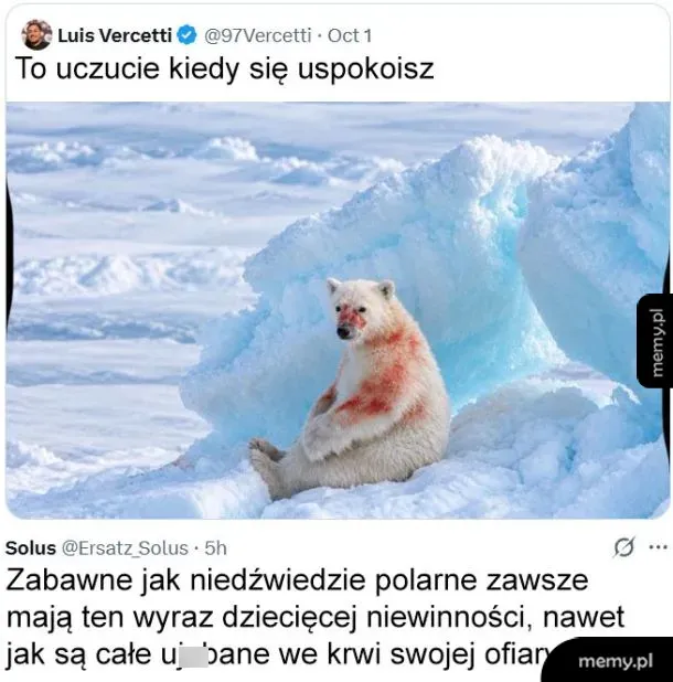 Niedźwiedź polarny siedzący na lodzie z plamami krwi na pyszczku.