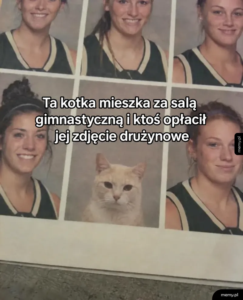 Pełnoprawny członek szkolnej reprezentacji 🐈