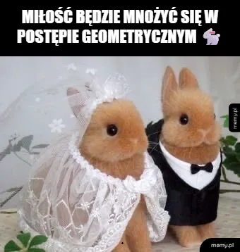 Dwa króliki przebrane za parę młodą w stroju ślubnym.