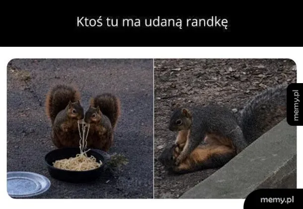 Dwie wiewiórki jedzące spaghetti i w drugiej scenie tarzające się razem.