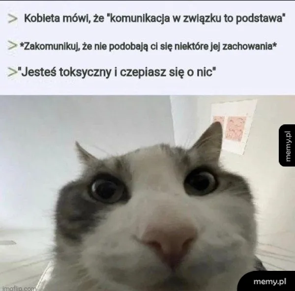 Mem z kotem patrzącym z bliska w kamere i tekstem o komunikacji w związku.