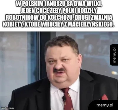 Mężczyzna w garniturze z wąsem z podpisem o polskim Januszu i dwóch wilkach.