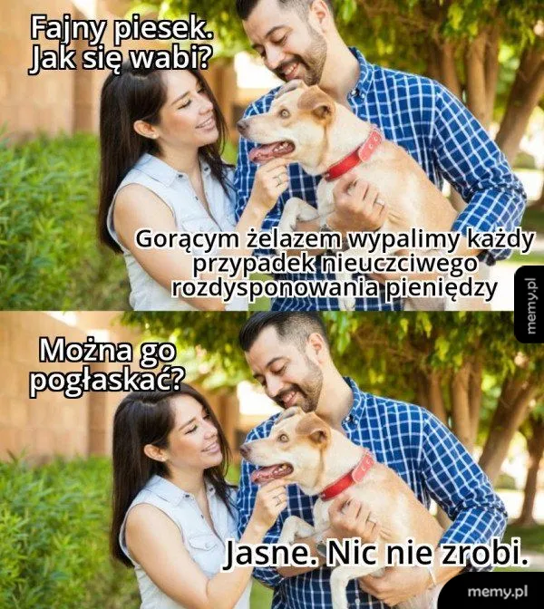 Mężczyzna i kobieta trzymają psa, kadr z napisami