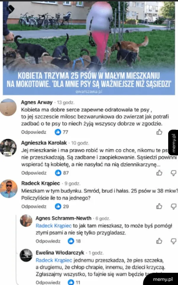 Zrzut ekranu z artykułu i komentarzy na temat kobiety trzymającej 25 psów w małym mieszkaniu.