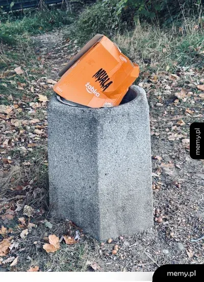 Pudełko po burgerze z Żabki wetknięte w betonowy śmietnik w parku.