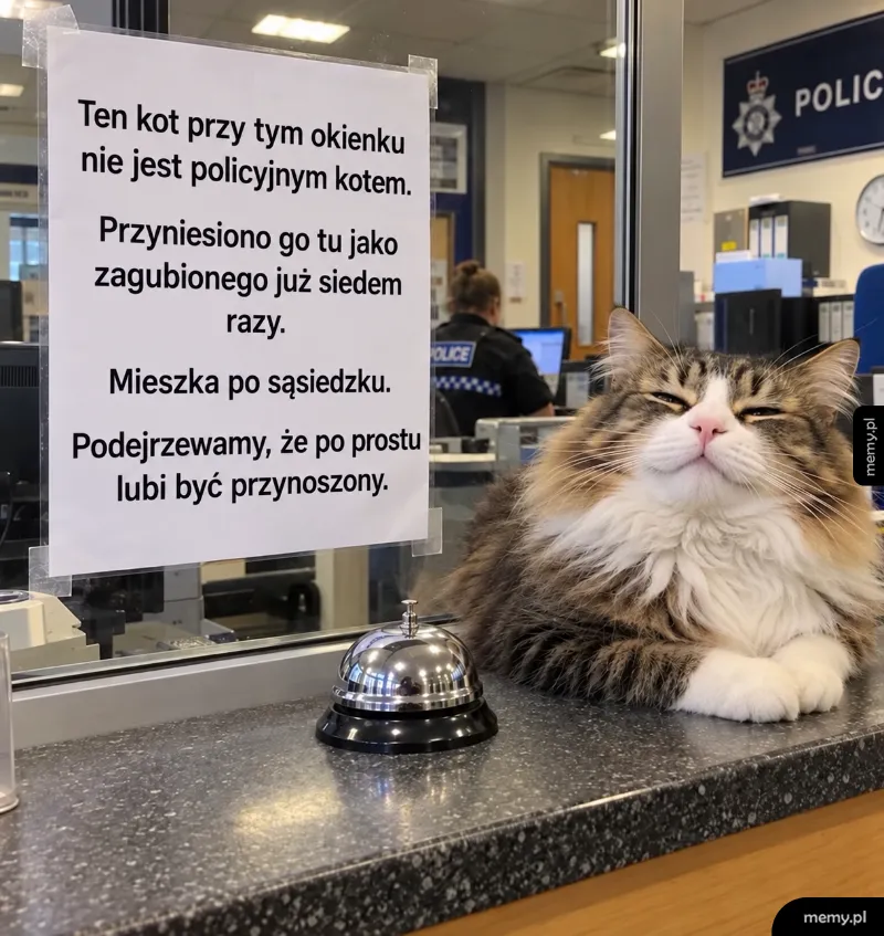 Kot leżący na ladzie w komisariacie policji obok kartki z ogłoszeniem.