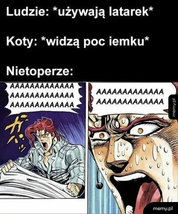 Mem z postaciami z mangi krzyczącymi w panice, porównujący reakcje ludzi, kotów i nietoperzy na światło.