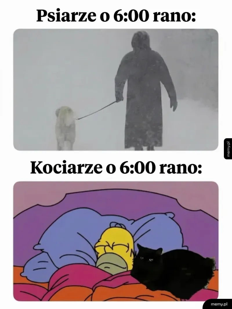 Porównanie właścicieli psów i kotów o szóstej rano w zimie.