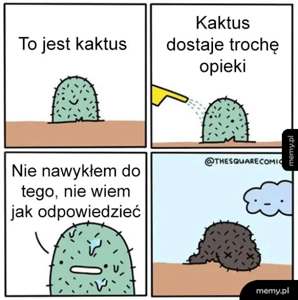 Komiks z kaktusem, który umiera od nadmiaru opieki i podlewania.
