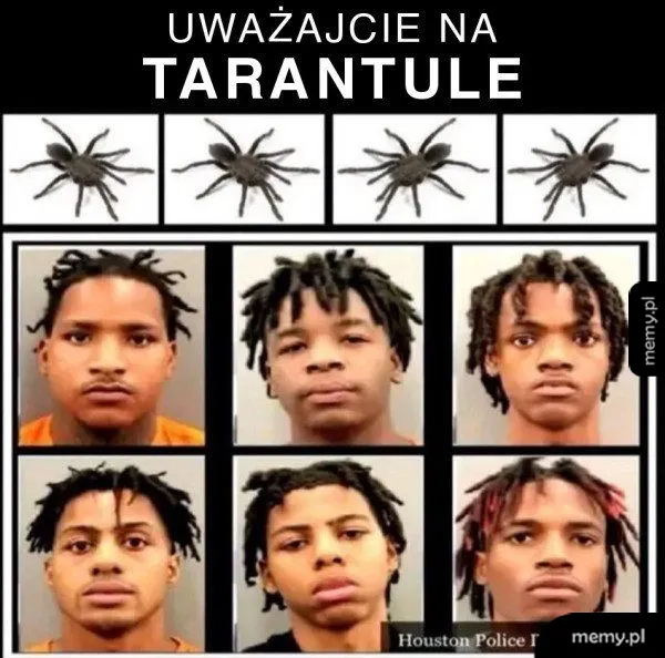 Aż włosy stają dęba