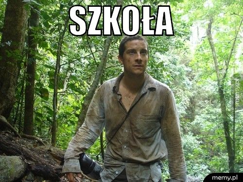 Szkoła 