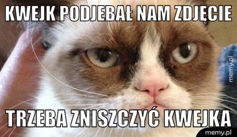 KWEJK PODJEBAŁ NAM ZDJĘCIE TRZEBA ZNISZCZYĆ KWEJKA