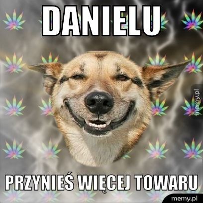 danielu przynieś więcej towaru