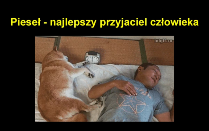 Pieseł