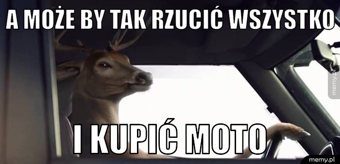 a może by tak rzucić wszystko i kupić moto