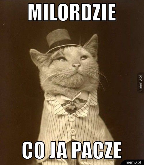 Milordzie co ja pacze