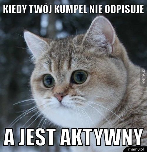 Kiedy twój kumpel nie odpisuje a jest aktywny