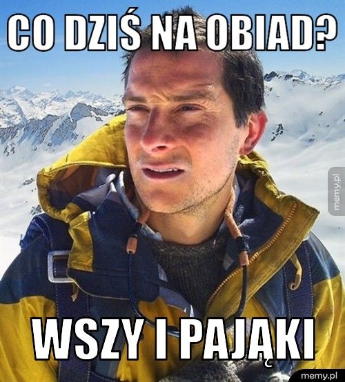Co dziś na obiad? Wszy i pająki